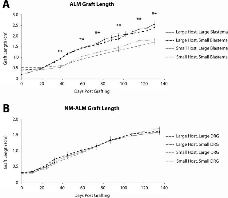 Figure 5—figure supplement 2.