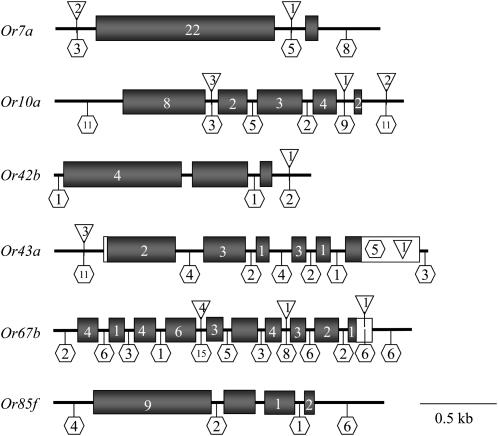 Figure 1.—