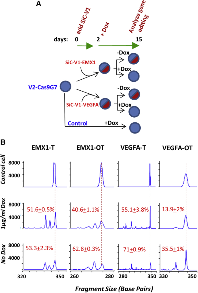 Figure 3