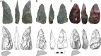 Fig. 2.