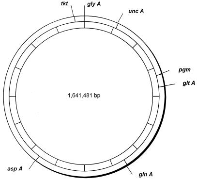 FIG. 1