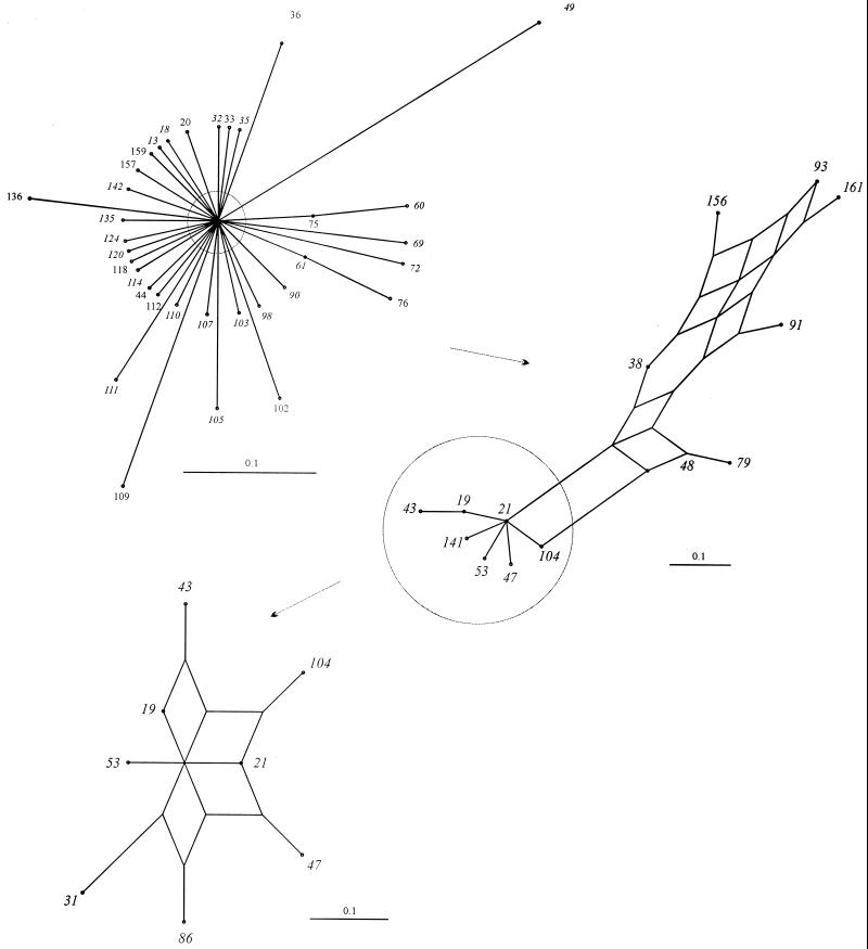 FIG. 3