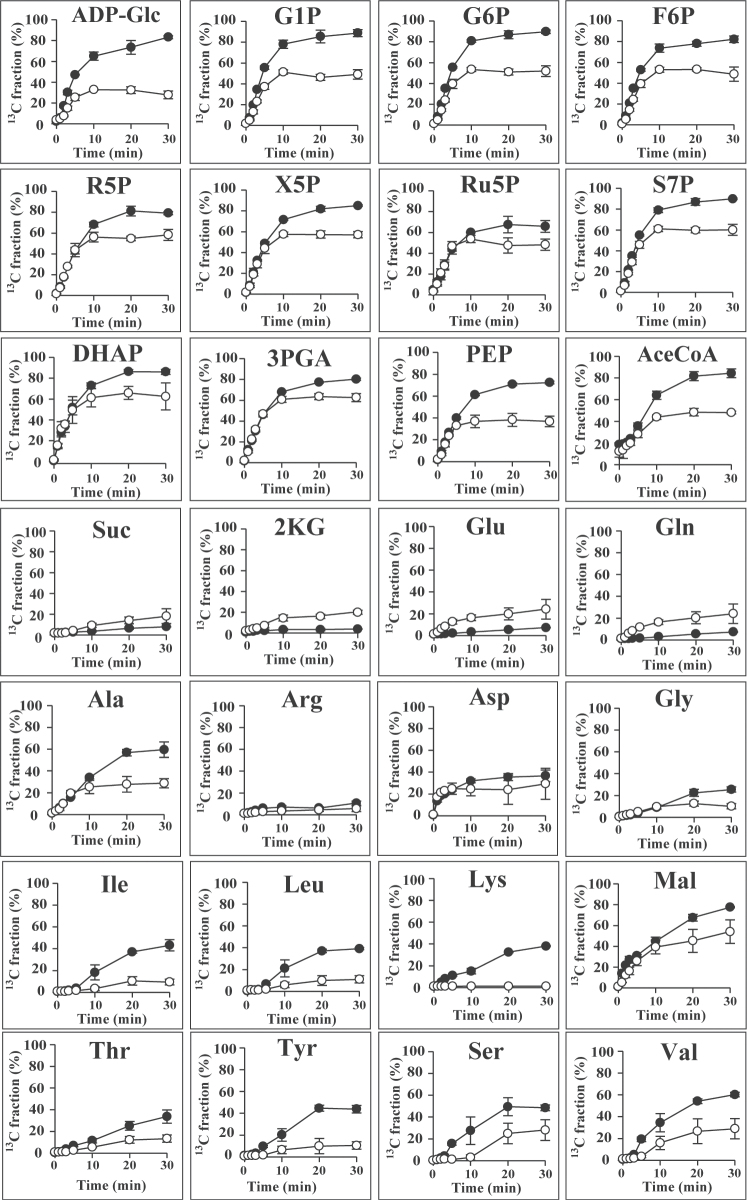 Fig. 6.