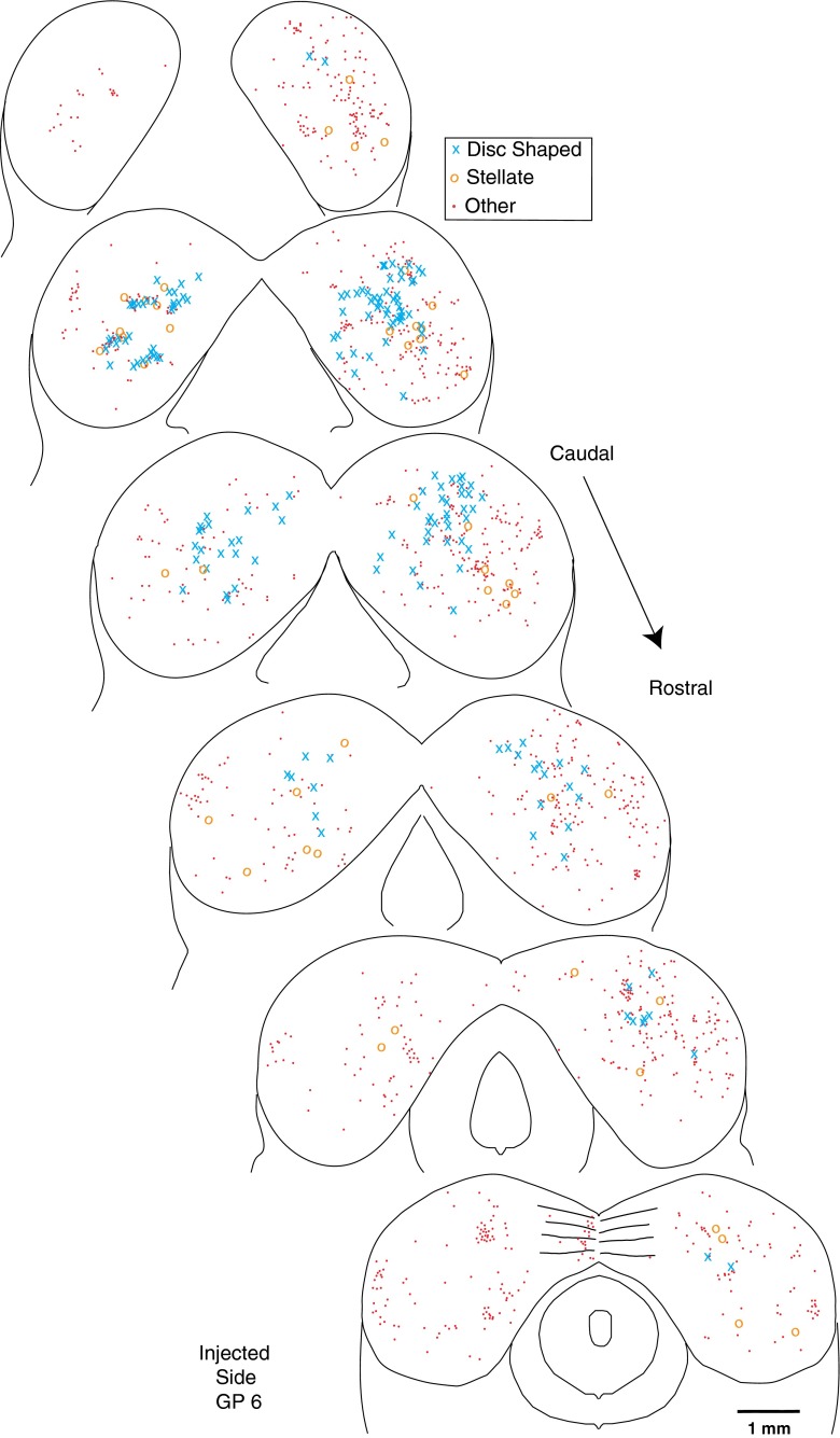 FIG. 10