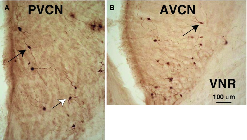 FIG. 7