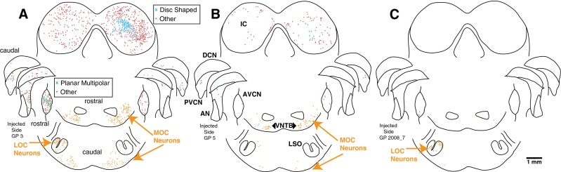 FIG. 3