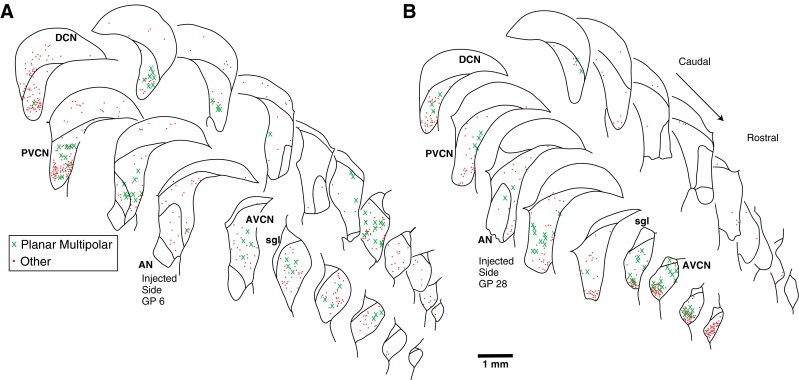 FIG. 8