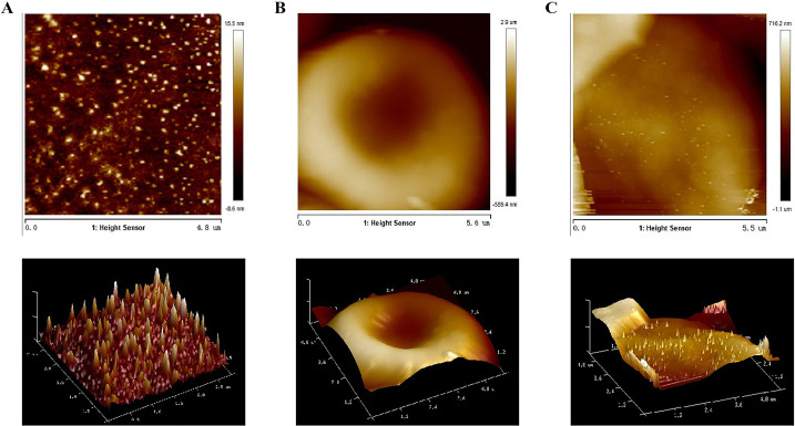 Fig. 3