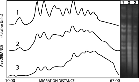 Fig. 6