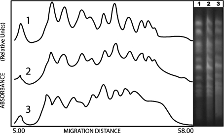 Fig. 3