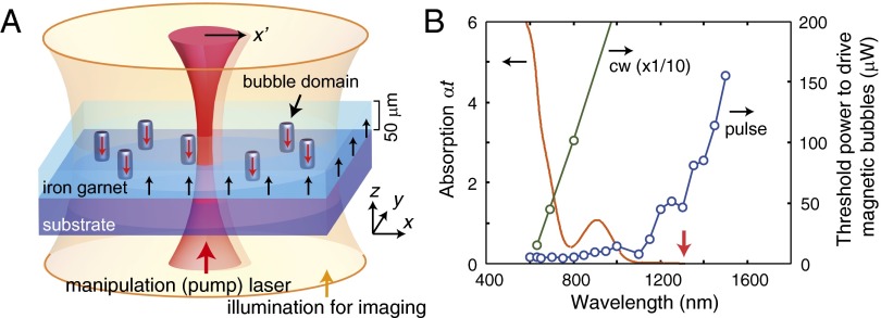 Fig. 1.