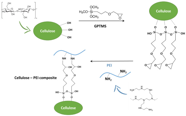 Scheme 6