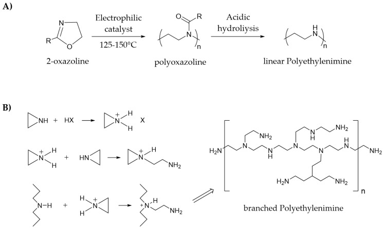 Scheme 2