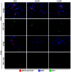 FIG. 3.