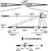 FIG. 8.