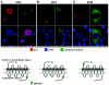 FIG. 4.