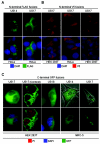 FIG. 6.