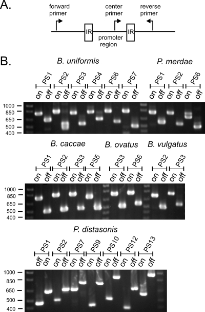 FIG. 2.