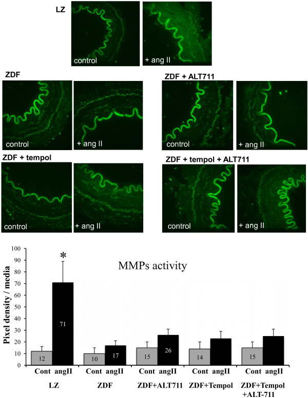 Figure 12