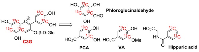 graphic file with name molecules-23-01970-i001.jpg