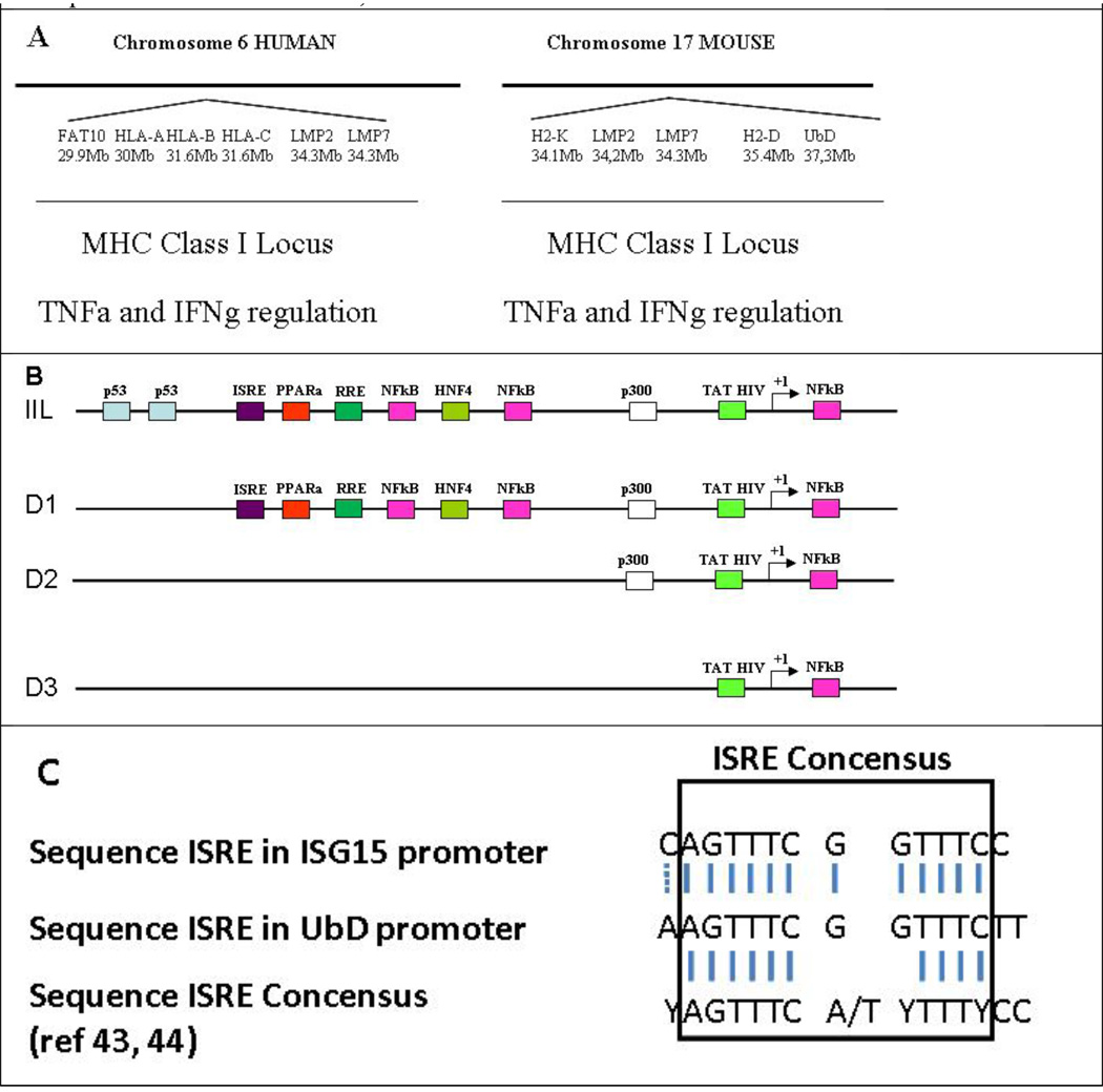 graphic file with name nihms201595t1.jpg