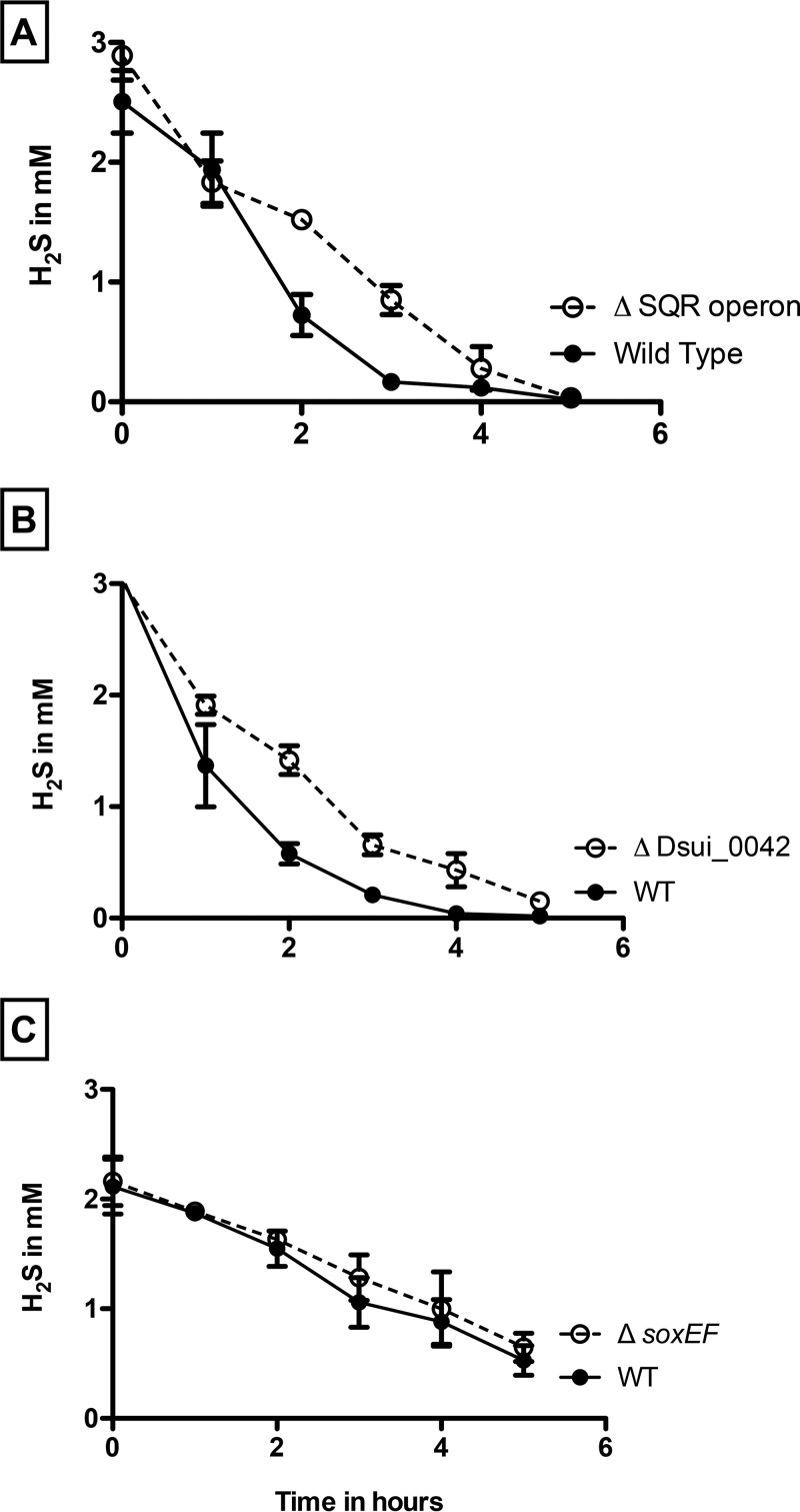 FIG 5 