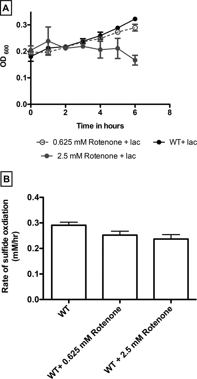 FIG 3 