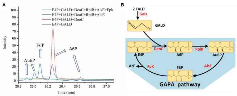 Figure 7