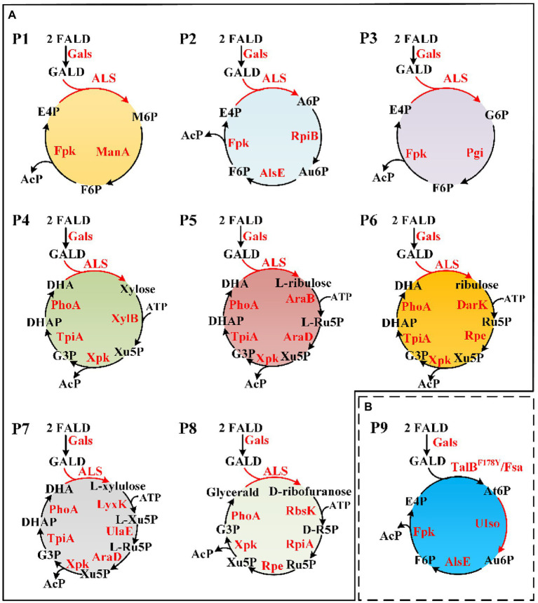 Figure 4