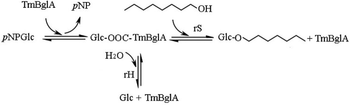 Fig. 1