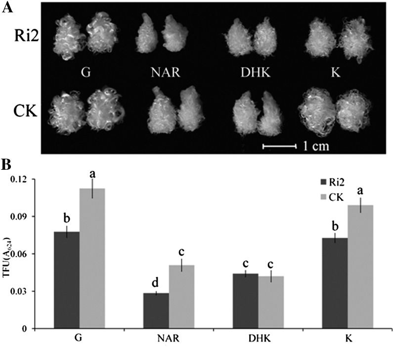 Figure 7.