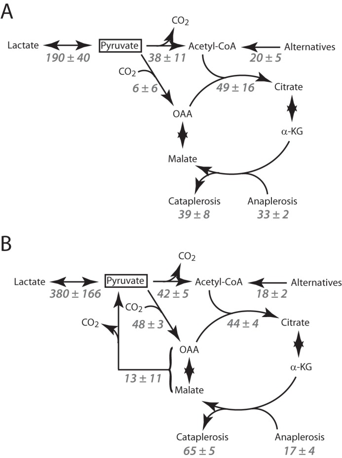 FIGURE 7.