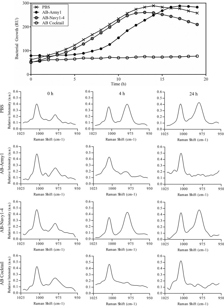 FIG 3