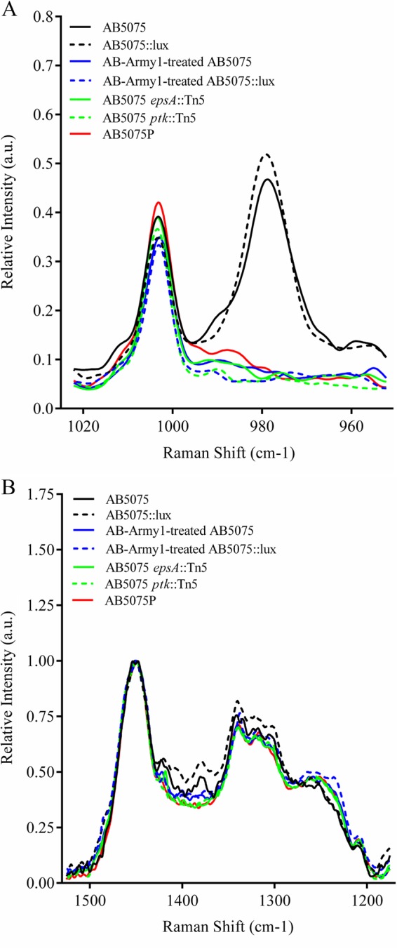 FIG 2