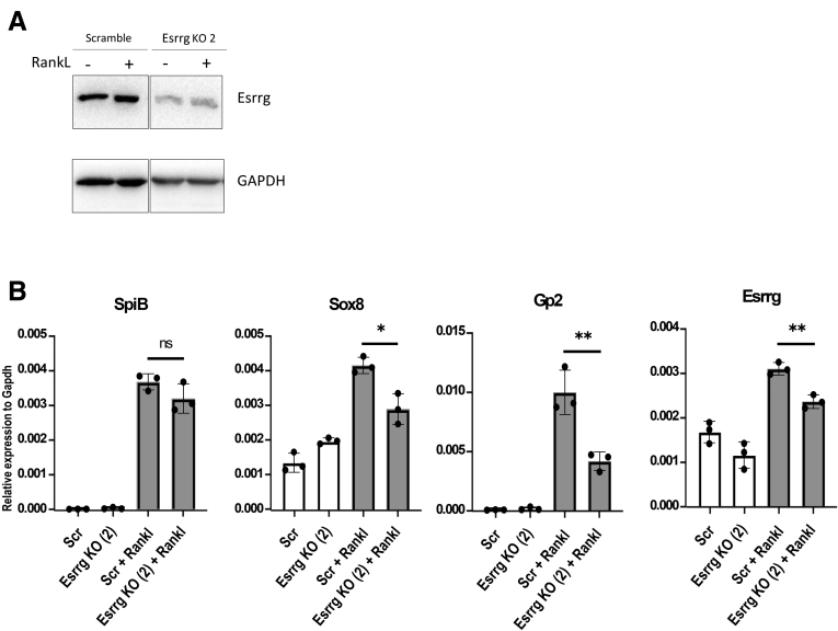 Figure 6