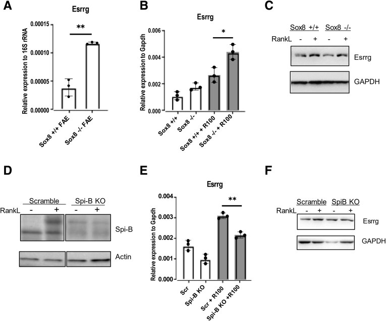 Figure 7