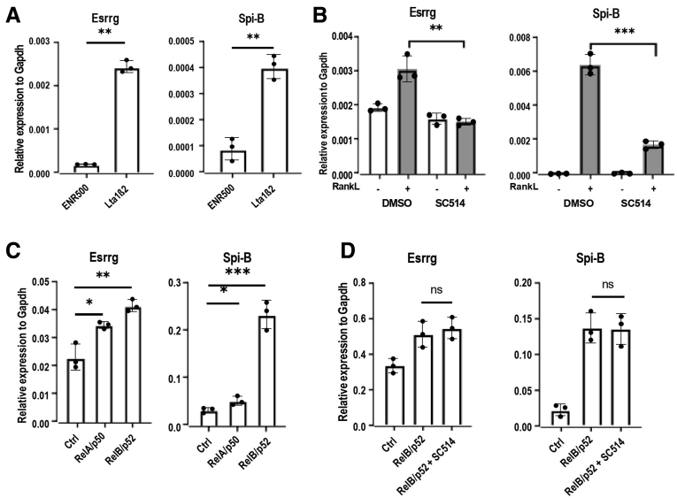 Figure 4