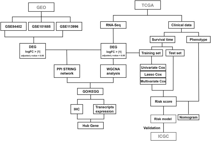 FIGURE 1