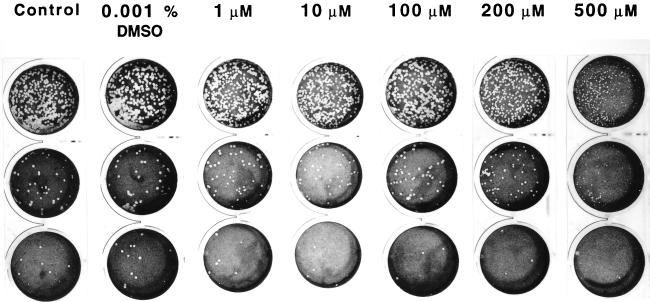 FIG. 9