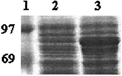 FIG. 5