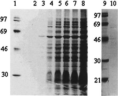 FIG. 1