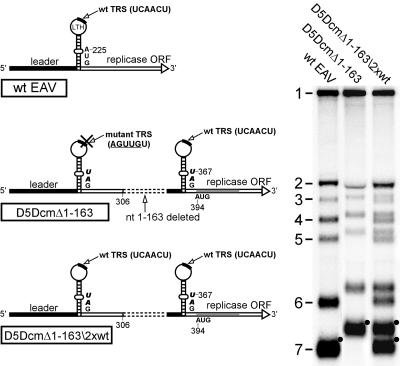 FIG. 6.