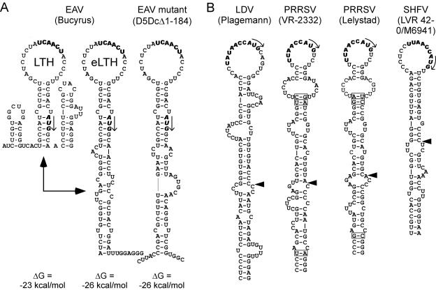 FIG. 8.