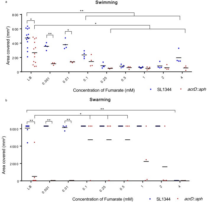 FIG 3 