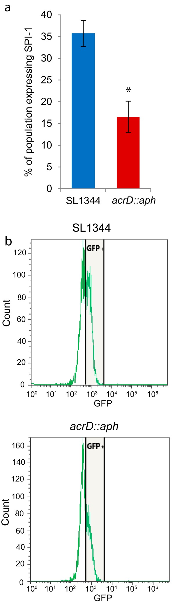 FIG 2 