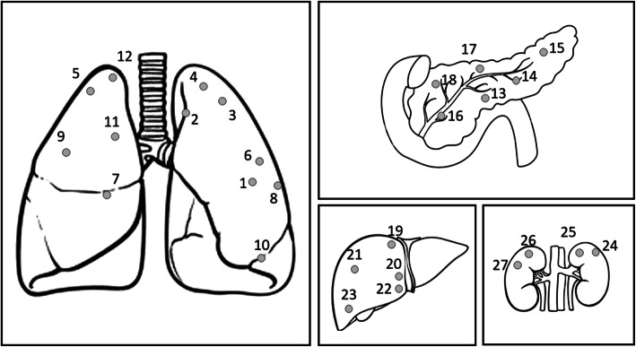 Fig. 2