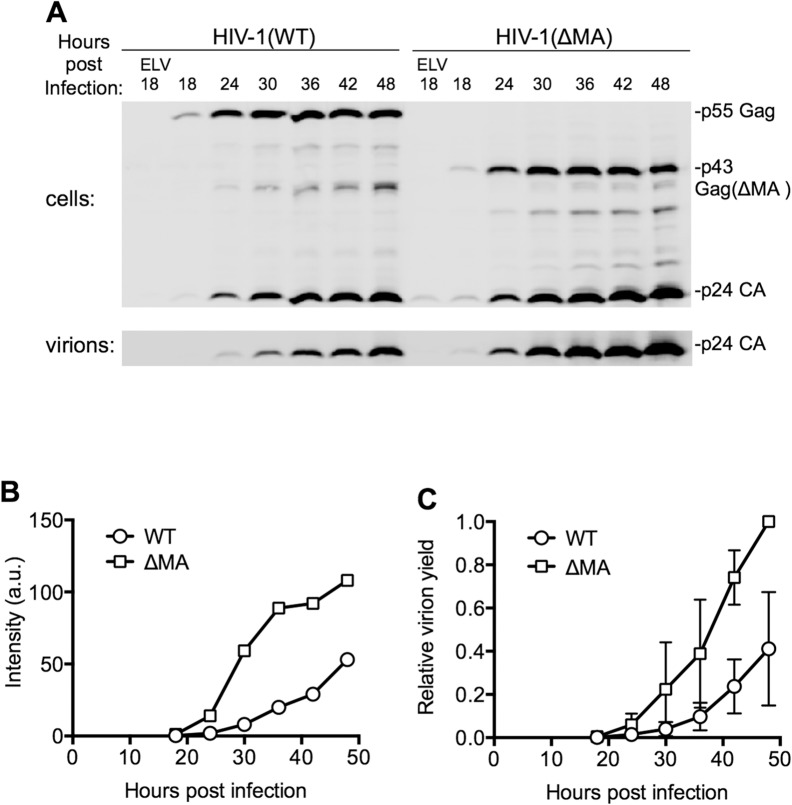 Fig 3