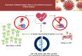 Image, graphical abstract