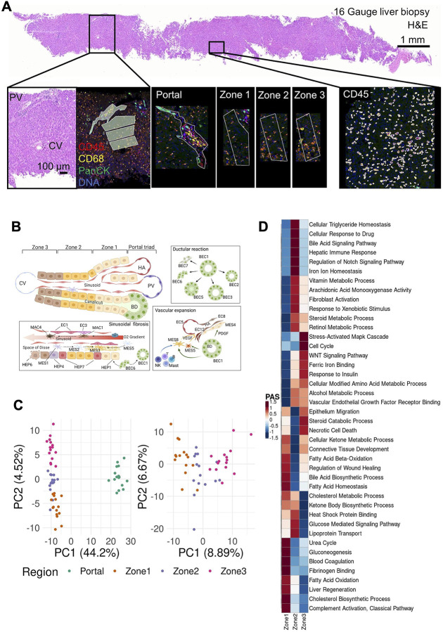 Figure 2: