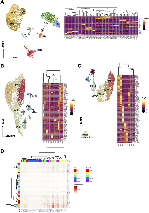 Figure 5: